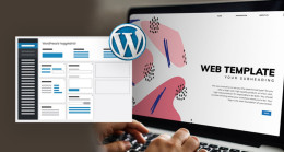 WordPress İstatistikleri