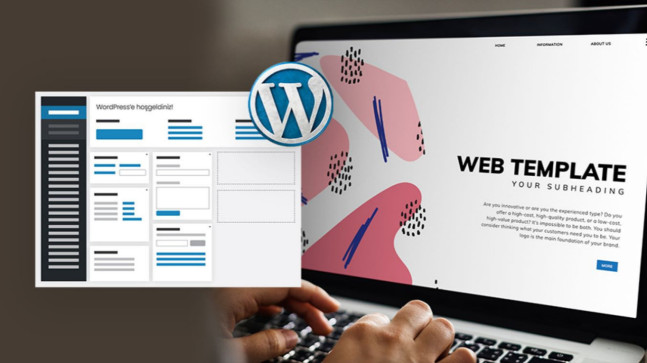 WordPress İstatistikleri